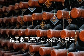 誰(shuí)回收飛天茅臺(tái)53度500毫升