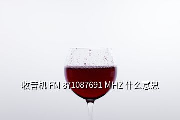 收音機 FM 871087691 MHZ 什么意思