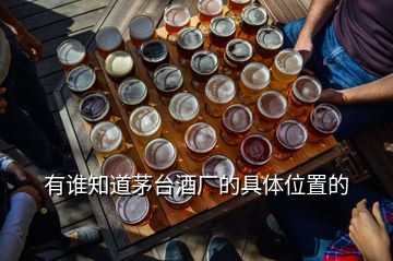 有誰(shuí)知道茅臺(tái)酒廠的具體位置的