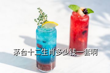 茅臺十二生肖多少錢一套啊