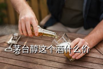 茅臺醇這個酒什么價