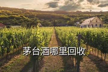 茅臺(tái)酒哪里回收