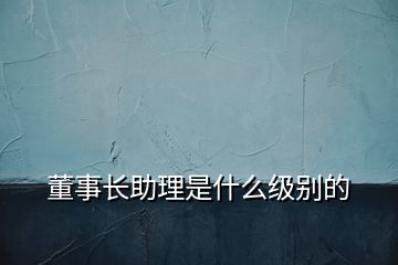 董事長(zhǎng)助理是什么級(jí)別的