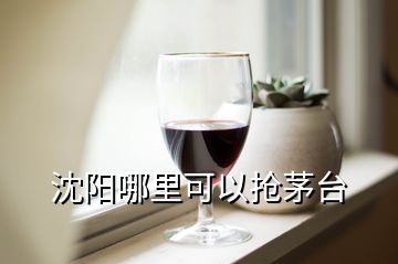 沈陽哪里可以搶茅臺