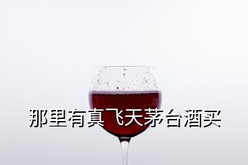 那里有真飛天茅臺(tái)酒買