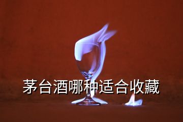 茅臺(tái)酒哪種適合收藏