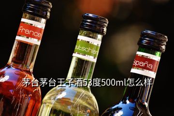 茅臺茅臺王子酒53度500ml怎么樣