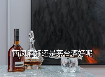 西鳳酒好還是茅臺酒好呢