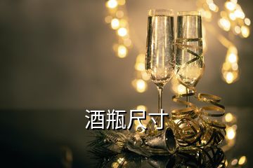 酒瓶尺寸