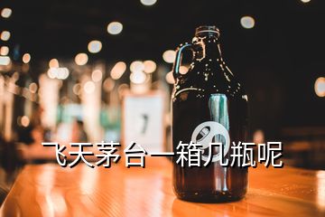 飛天茅臺一箱幾瓶呢