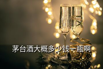 茅臺(tái)酒大概多少錢一瓶啊