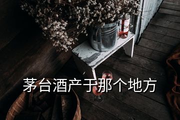 茅臺酒產(chǎn)于那個地方