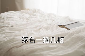 茅臺一箱幾瓶