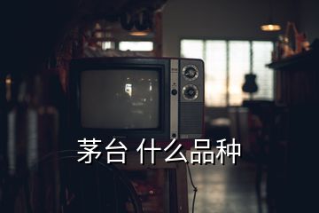 茅臺 什么品種