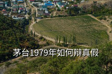 茅臺1979年如何辯真假