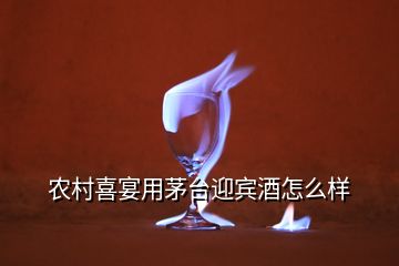 農(nóng)村喜宴用茅臺迎賓酒怎么樣