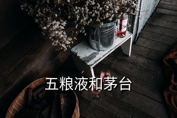 五糧液和茅臺