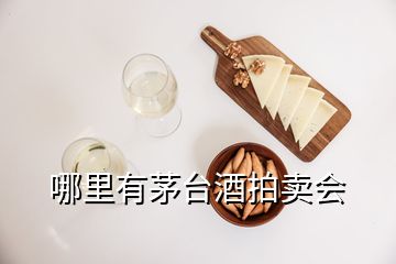 哪里有茅臺酒拍賣會