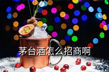 茅臺(tái)酒怎么招商啊