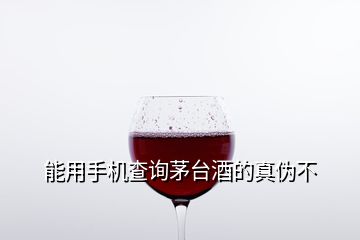 能用手機查詢茅臺酒的真?zhèn)尾?></p>
<h2 id=