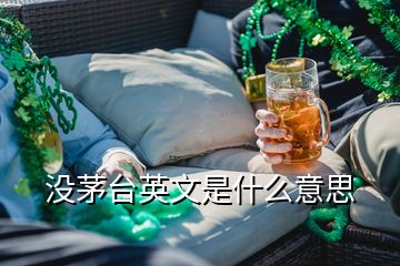 沒茅臺英文是什么意思