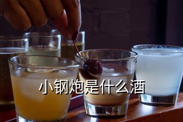 小鋼炮是什么酒