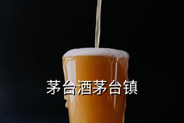 茅臺(tái)酒茅臺(tái)鎮(zhèn)