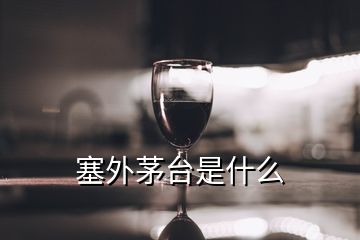 塞外茅臺是什么