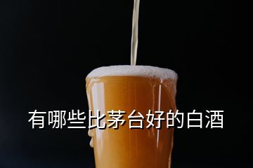 有哪些比茅臺(tái)好的白酒