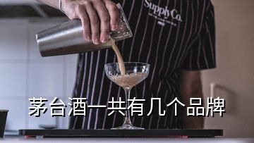 茅臺酒一共有幾個品牌