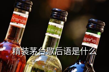 精裝茅臺歇后語是什么