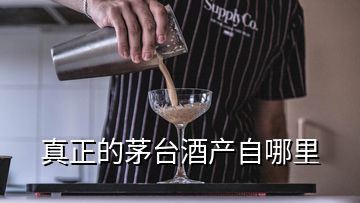 真正的茅臺酒產自哪里