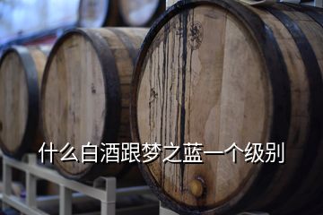 什么白酒跟夢(mèng)之藍(lán)一個(gè)級(jí)別