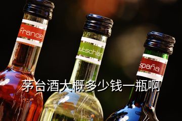 茅臺酒大概多少錢一瓶啊