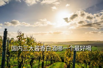 國(guó)內(nèi)三大醬香白酒哪一個(gè)最好喝