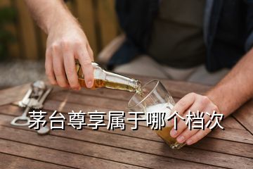 茅臺尊享屬于哪個檔次