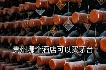 貴州哪個(gè)酒店可以買茅臺(tái)