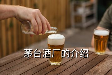 茅臺(tái)酒廠(chǎng)的介紹