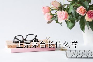 正宗茅臺長什么樣