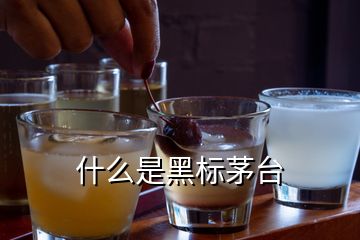 什么是黑標(biāo)茅臺