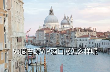 53度古源VIP酒口感怎么樣呢