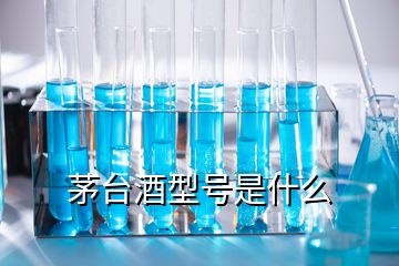 茅臺酒型號是什么