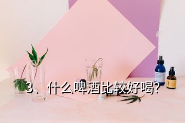 3、什么啤酒比較好喝？