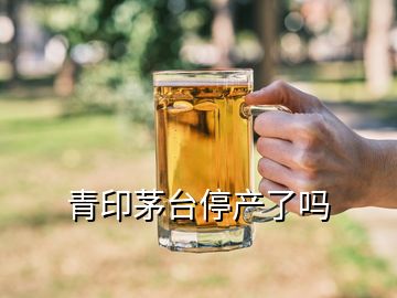 青印茅臺(tái)停產(chǎn)了嗎