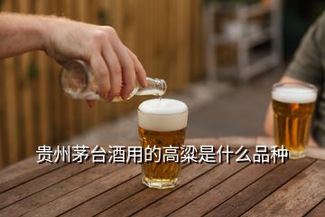 貴州茅臺酒用的高粱是什么品種