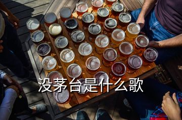 沒茅臺是什么歌