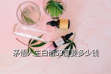 茅悟人生白酒53度要多少錢