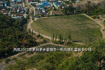 兩瓶2003年茅臺(tái)茅鄉(xiāng)宴猴年一帆風(fēng)順禮盒裝多少錢(qián)