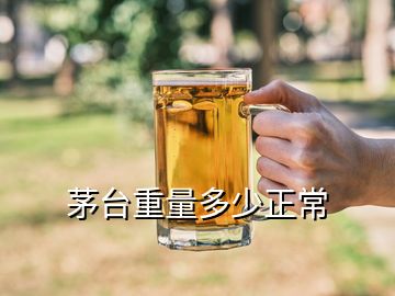 茅臺(tái)重量多少正常