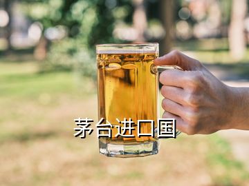 茅臺進口國